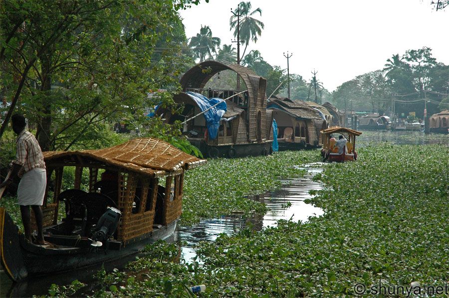 Alleppeykottayam1 — India travel guide